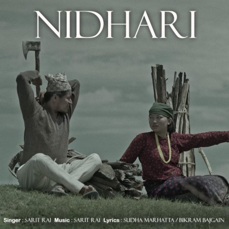 Nidhari | Boomplay Music