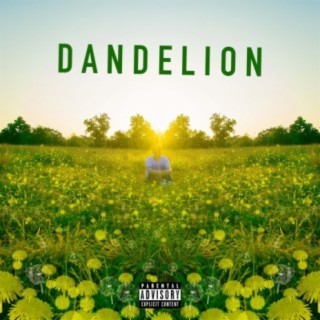 Dandelion lyrics | Boomplay Music