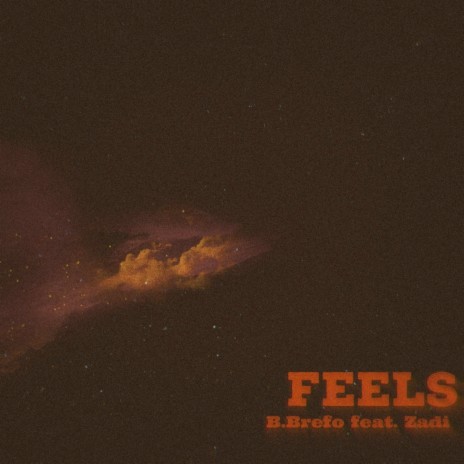 Feels ft. Zadi | Boomplay Music
