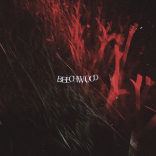 Beechwood lyrics | Boomplay Music