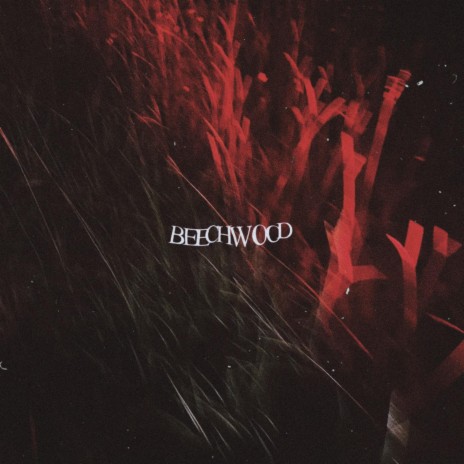 Beechwood | Boomplay Music