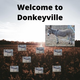 Welcome to Donkeyville