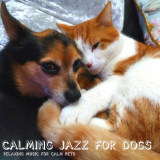 Relaxing Music For Calm Pets