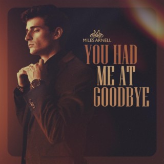 You Had Me At Goodbye lyrics | Boomplay Music
