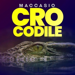 Crocodile lyrics | Boomplay Music