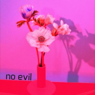 no evil