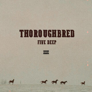 Thoroughbred