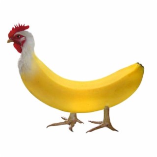 Chickenbanana song! | Funny songs! Crazy Songs!