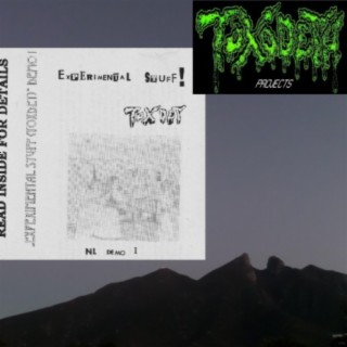 Experimental Stuff Toxdet NL Demo I 1993-1994 part 1