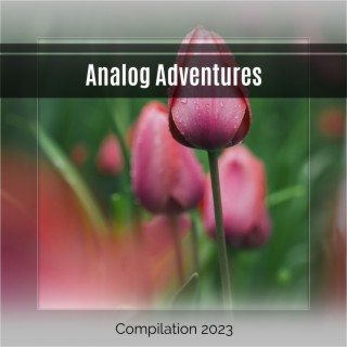 Analog Adventures