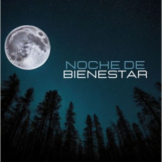 Noche de Bienestar: Vibraciones Curativas y Frecuencias Positiva para Dormir Mejor