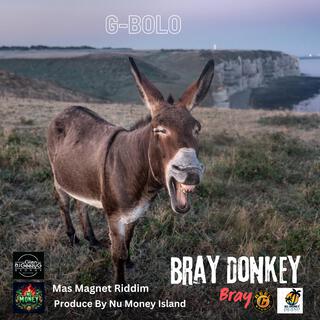 Bray Donkey Bray