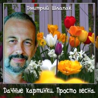 Дмитрий Шлапак