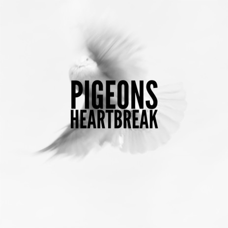 Pigeon's Heartbreak ft. Onchibaby | Boomplay Music