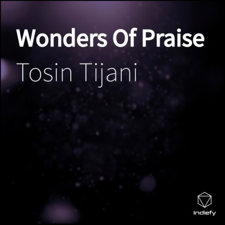 Wonders Of Praise | Boomplay Music