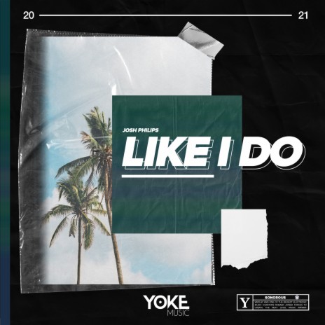 Like I Do | Boomplay Music