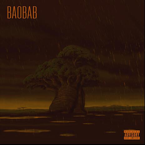 BAOBAB | Boomplay Music