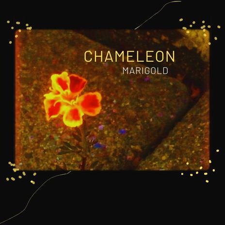 Chameleon | Boomplay Music