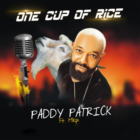 One cup of rice ft. Mkpi | Boomplay Music