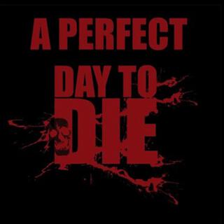 PERFECT DAY 2 DIE