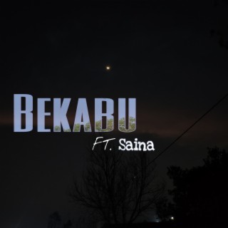 Bekabu