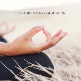 1111 Manifestation Meditation