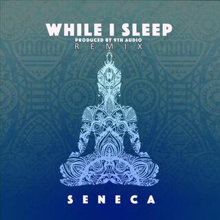 While I sleep (9th Audio Remix)