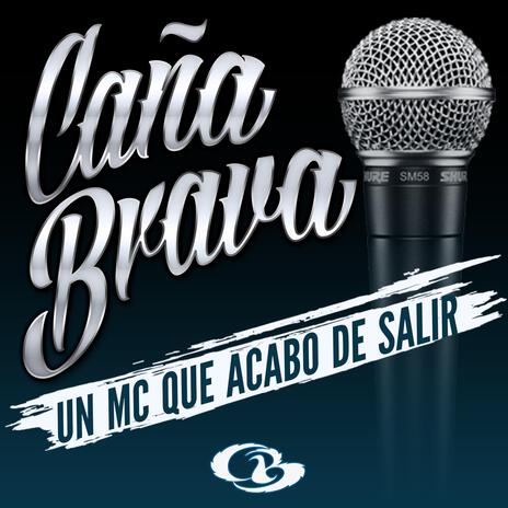 Un Mc Que Acabo De Salir | Boomplay Music