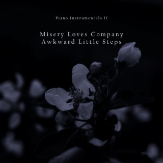 Piano Instrumentals II : Misery Loves Company