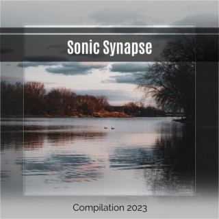 Sonic Synapse