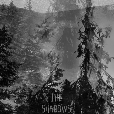 The Shadows | Boomplay Music