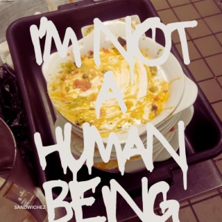 Im not a human being