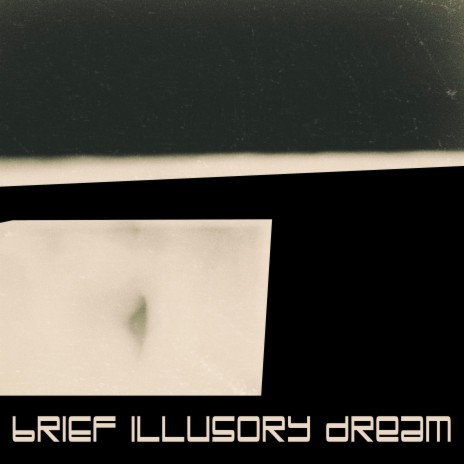 BRIEF ILLUSORY DREAM | Boomplay Music