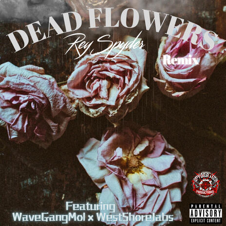 Dead Flowers (Remix) ft. WaveGangMol & WestShoreJabs