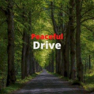 Peaceful Drive