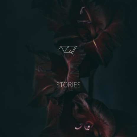 Stories | Boomplay Music