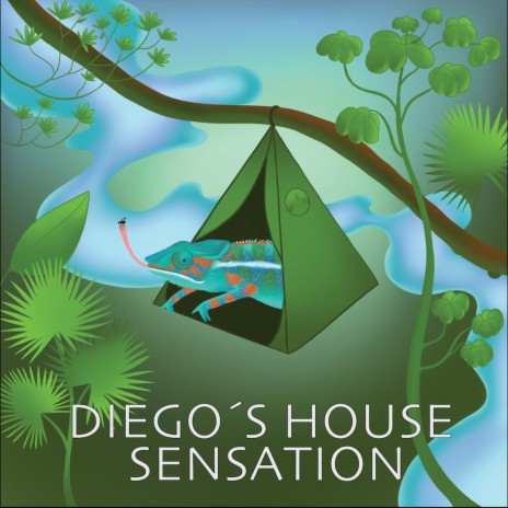 Diego´s House Sensation | Boomplay Music