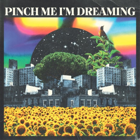 Pinch Me I'm Dreaming | Boomplay Music