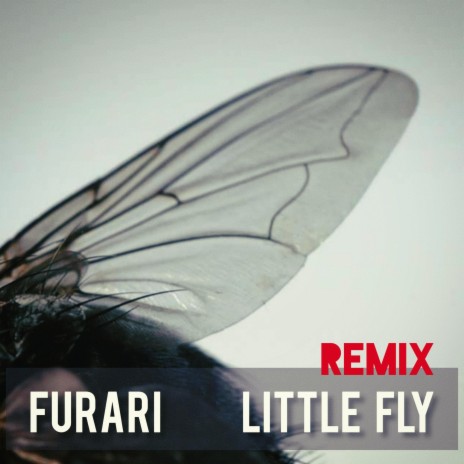 Little fly (Remix) | Boomplay Music