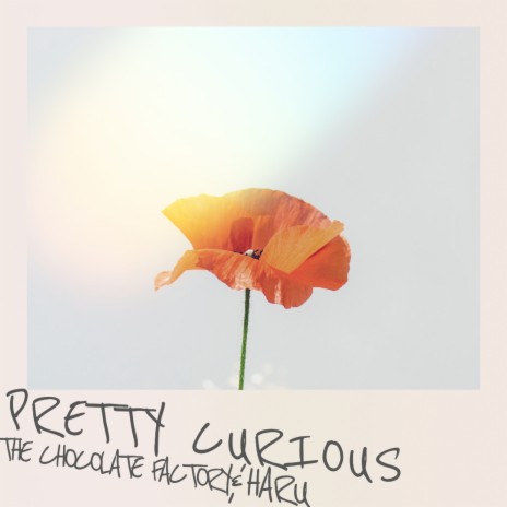 Pretty Curious ft. HARU | Boomplay Music
