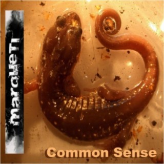 Common sense (Original Mix)