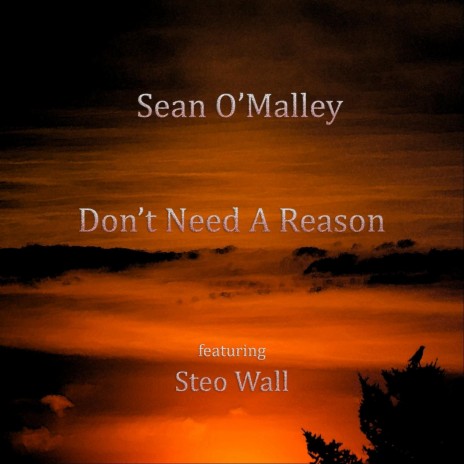 Don't Need a Reason (feat. Steo Wall) | Boomplay Music