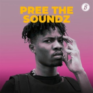 Pree The Soundz | Boomplay Music