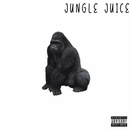 Jungle Juice Hook | Boomplay Music
