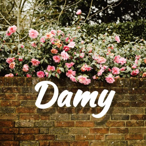 Damy | Boomplay Music