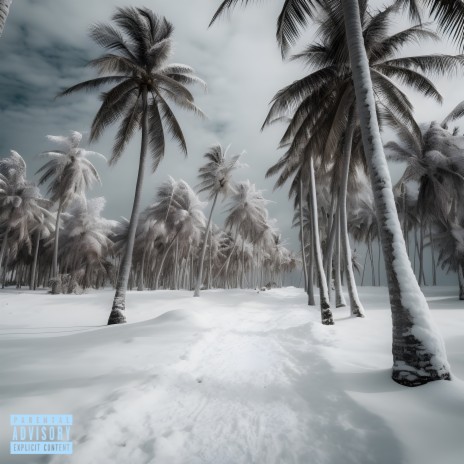 Bonhomme 2.0 neige | Boomplay Music