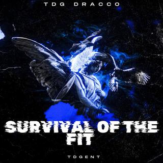 Survival Of The Fit