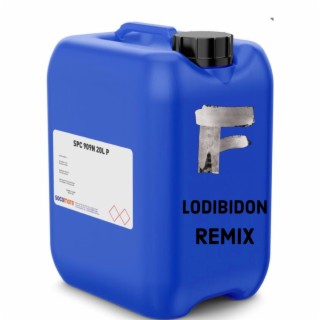LODIBIDON remix