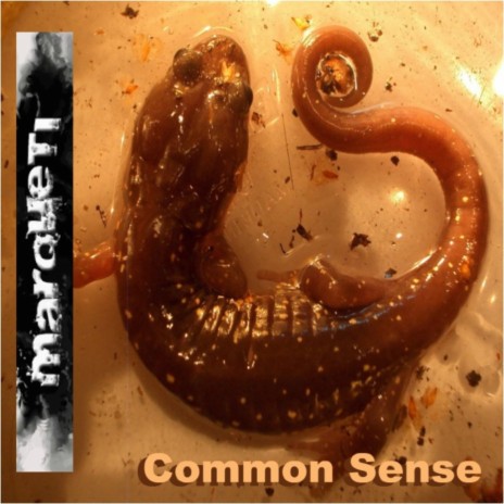 Common sense (Original Mix)