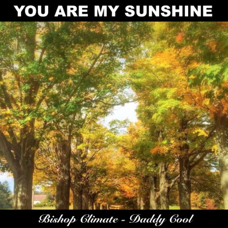 You Are My Sunshine (Instrumental Version) ft. Daddy Cool | Boomplay Music